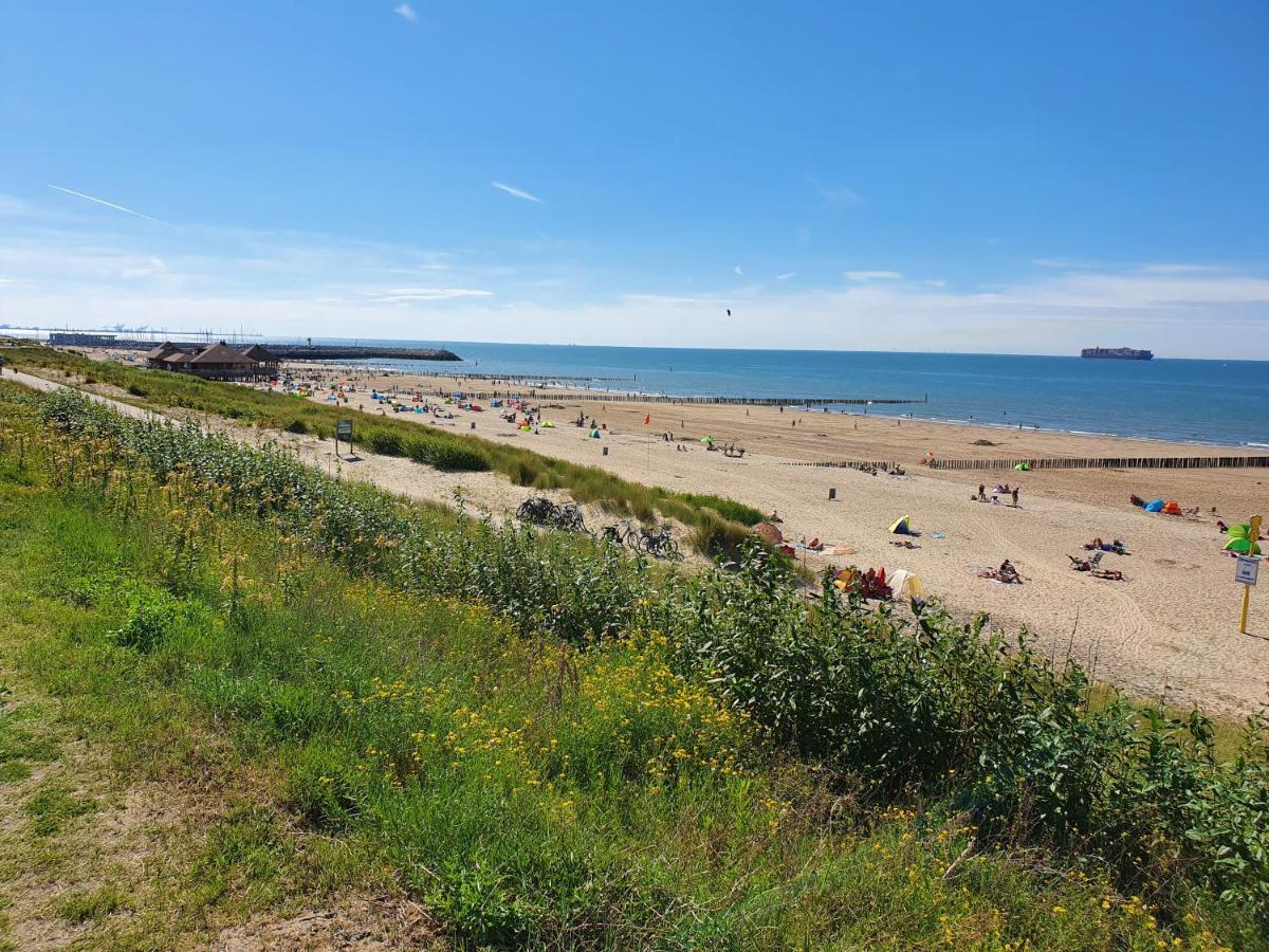 Le Normandy 5Star Apartment Cadzand Luaran gambar